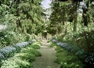 Path in Monet